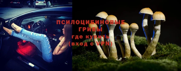 мяу мяу мука Алексин