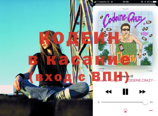 apvp Алзамай