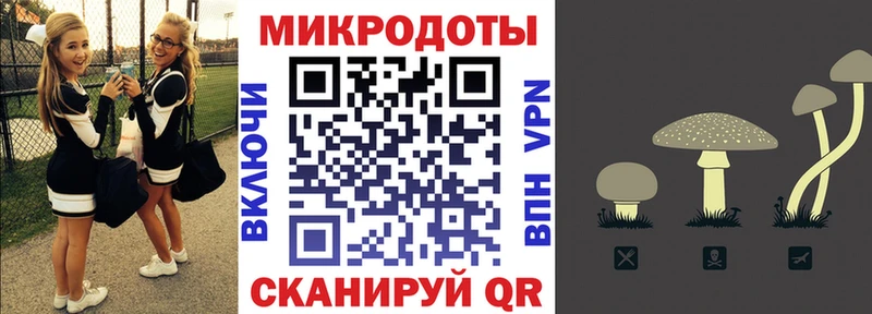 Галлюциногенные грибы MAGIC MUSHROOMS  закладка  kraken ССЫЛКА  Красноярск 